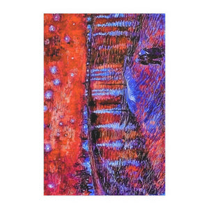 Rhone Orange - Silk Poster