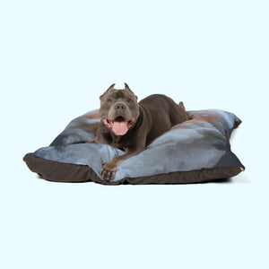 Inner Fire - Pet Bed
