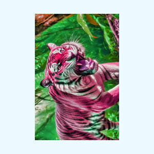 Strawberry Bengal - Matte Poster